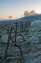 Illustration - Gironde