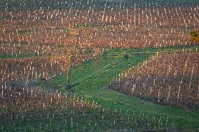 Illustration - Gironde
