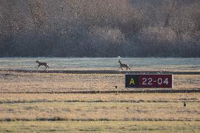 Illustration - Gironde