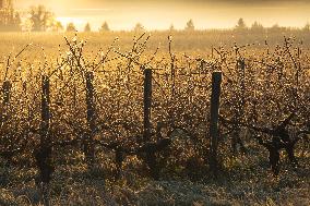 Illustration - Gironde