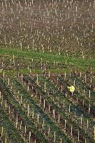 Illustration - Gironde