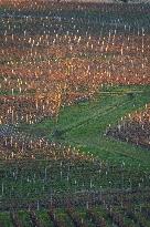 Illustration - Gironde