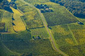 Illustration - Gironde