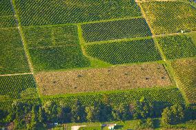 Illustration - Gironde