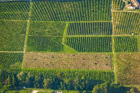 Illustration - Gironde