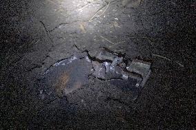 Russian Shelling Aftermath - Kharkiv