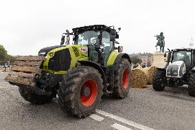 FNSEA Protest against unfair competition - Versailles