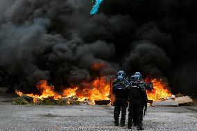 Riot Police Drill - Bucharest