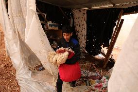 Location Where Two Palestinians Were Killed By Israeli Army - Palestine