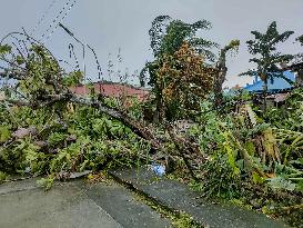 Aftermath of Tropical Storm Bualoi - China