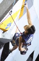 Sport climbing: World championships