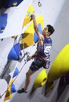 Sport climbing: World championships