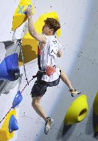 Sport climbing: World championships