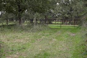 Kidnapping Alert in Orne - Child Found, Suspect Arrested in Loire-Atlantique - Montbert