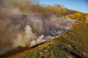 Fire in the Pico del Lobo area - Spain