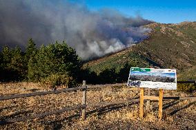 Fire in the Pico del Lobo area - Spain