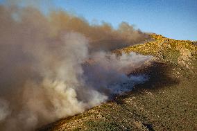 Fire in the Pico del Lobo area - Spain