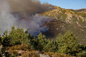 Fire in the Pico del Lobo area - Spain