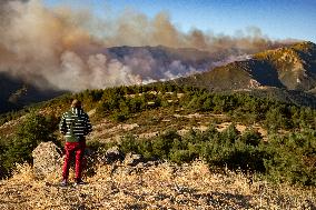 Fire in the Pico del Lobo area - Spain
