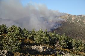 Fire in the Pico del Lobo area - Spain
