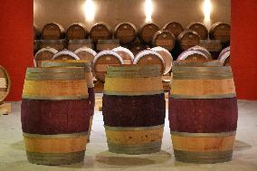 2025 Chinese Wine Industry