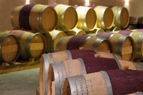 2025 Chinese Wine Industry