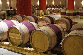 2025 Chinese Wine Industry