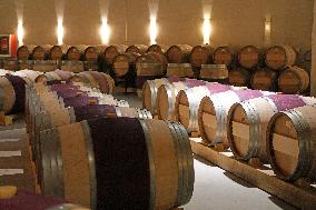 2025 Chinese Wine Industry