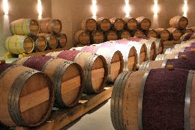 2025 Chinese Wine Industry