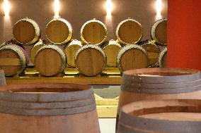 2025 Chinese Wine Industry