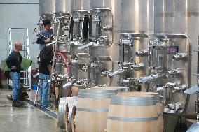 2025 Chinese Wine Industry