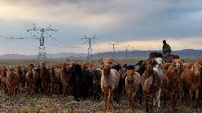 Xinjiang Clean Energy Development - China