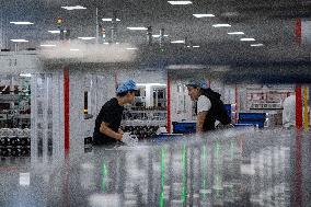 Xinjiang Clean Energy Development - China