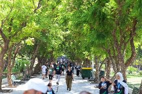 First Damascus Marathon After Fall of the Assad Regime - Syria