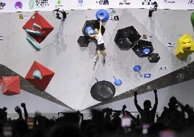 Sport climbing: World championships