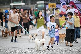 Pet Party in Nanjing