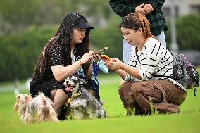 Pet Party in Nanjing