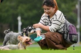 Pet Party in Nanjing