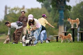 Pet Party in Nanjing