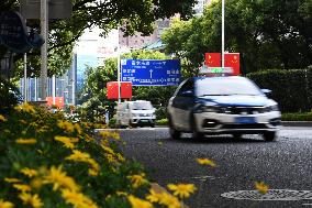 Hang The National Flag To Welcome National Day