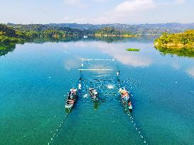 Ecological Fish Supply