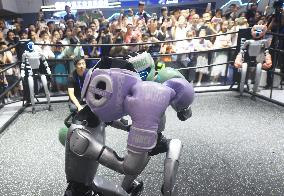 Humanoid Fighting Robot