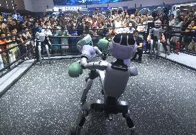 Humanoid Fighting Robot