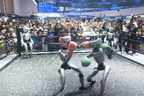 Humanoid Fighting Robot