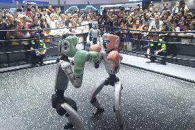 Humanoid Fighting Robot