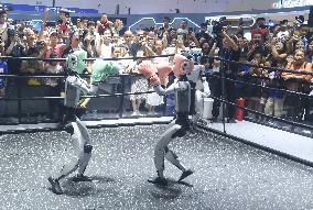 Humanoid Fighting Robot