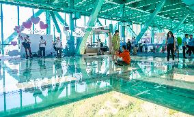 Huajiang Canyon Bridge Tourism