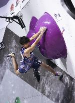 Sport climbing: World championships