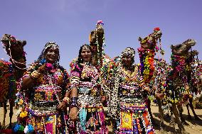 Indian Kalbeliya Gypsy Dancers Performs - India