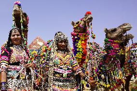 Indian Kalbeliya Gypsy Dancers Performs - India
